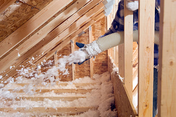 Professional Insulation Services in Bigfoot, TX